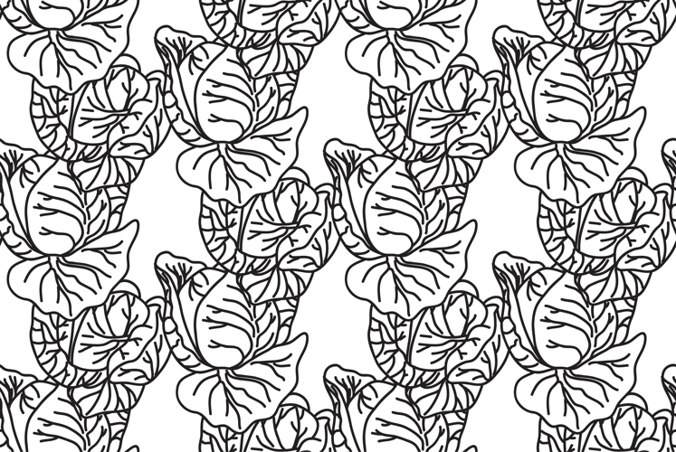 Line art botanical cabbages seamless pattern vector