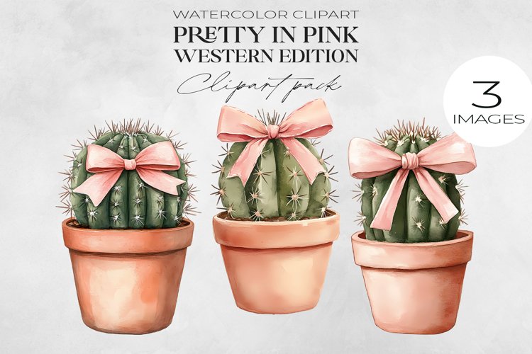 Cactus Png Image 15
