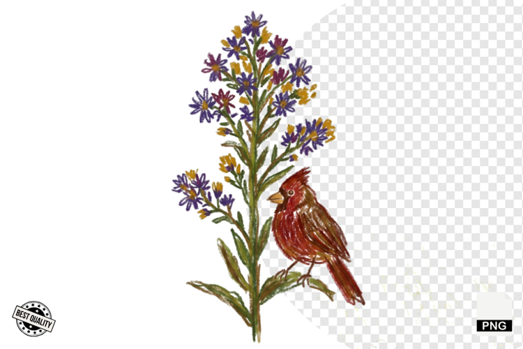 Autumn Wildflowers Meadow Clipart