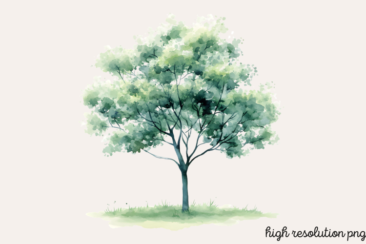 Baum Png Image 5