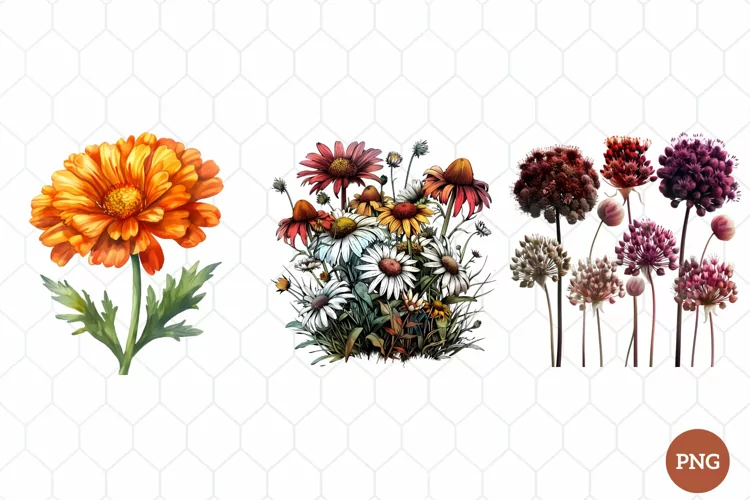 Watercolor Wildflowers Clipart