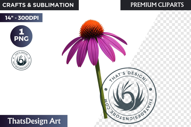 Flower Clipart PNG, Botanical Illustration Floral graphic