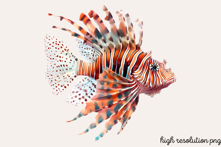 Animals Png Image 11