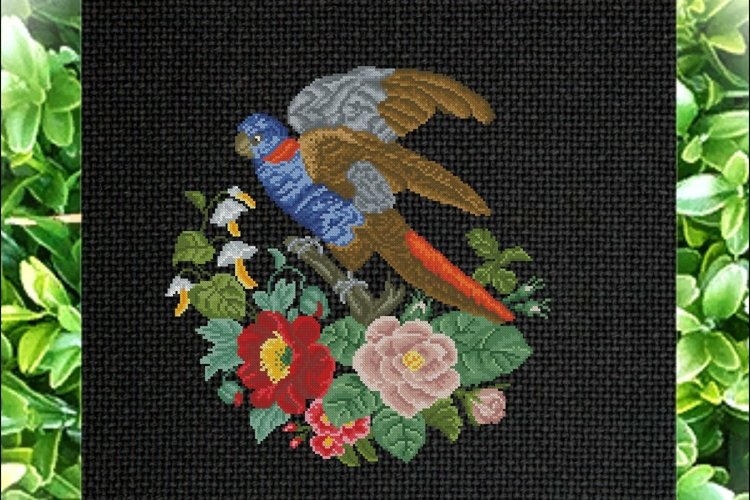 Parrot Clipart Image 17