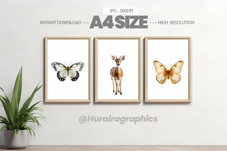 Animal Wall Art - 03 Variations