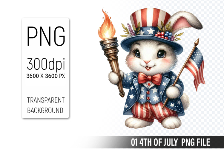 American Flag Png Image 15