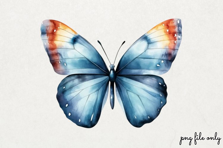Dragonfly Png Image 13