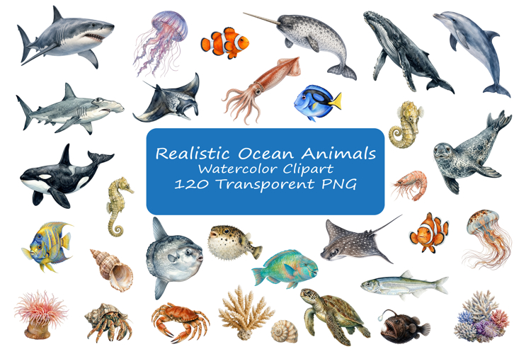 120 Realistic Ocean Animals Watercolor Clipart Set