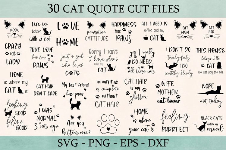 Cat Owner Sayings SVG Bundle (1610737) SVGs Design Bundles