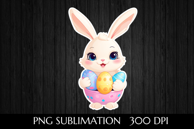 Rabbit Illustration Image 12