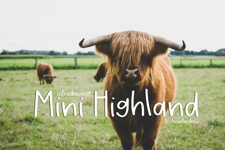 Mini Highland - A Handwritten Font example image 1