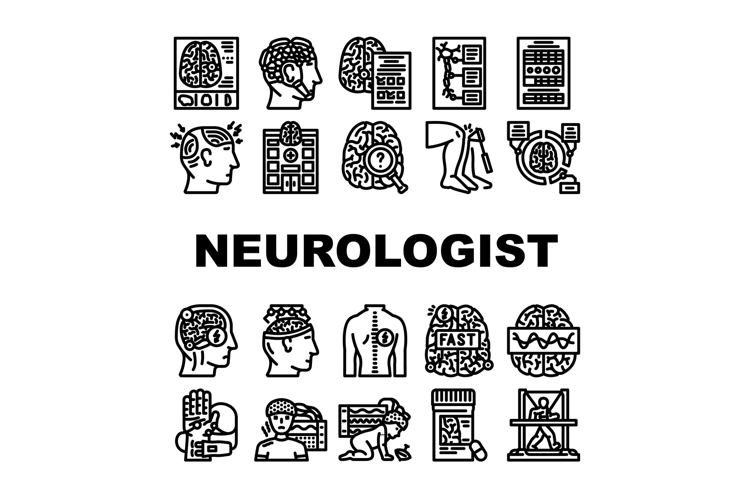 Brain Vector Image 19