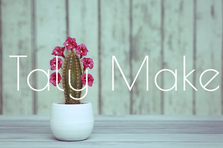 Succulent Clipart Image 2