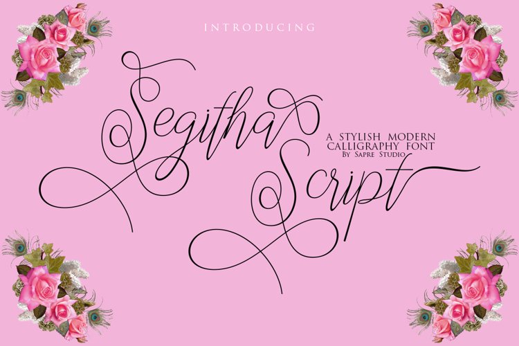 Segitha Script example image 1