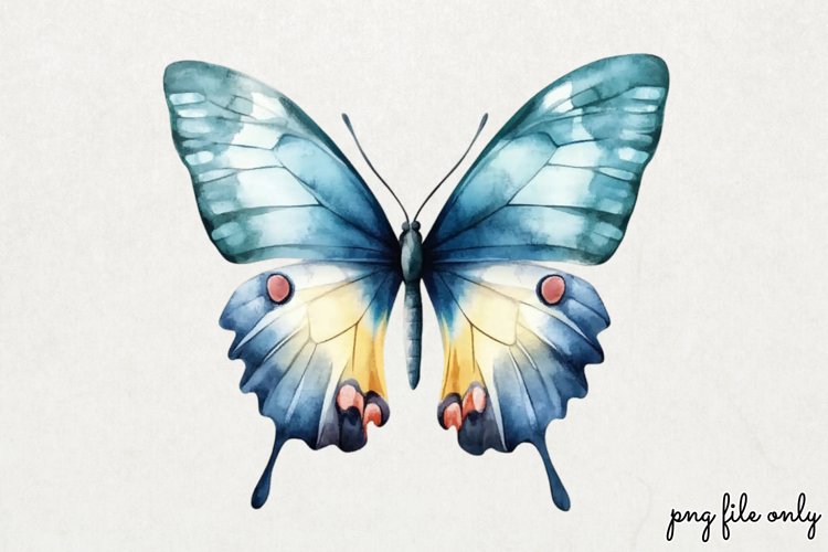 Wild flowers butterflies and dragonfly Clipart PNG