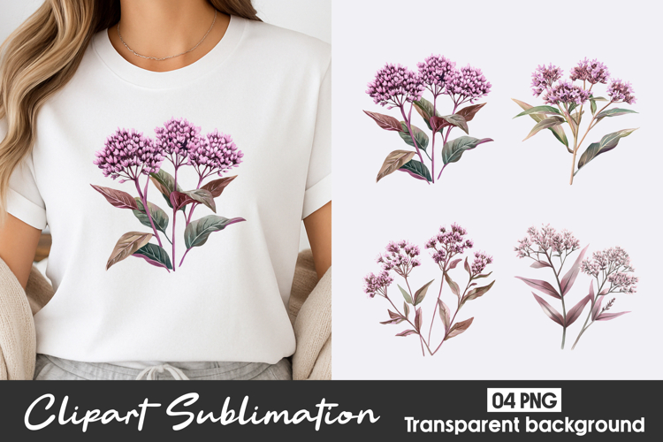 Pink Floral Watercolor Clipart PNG