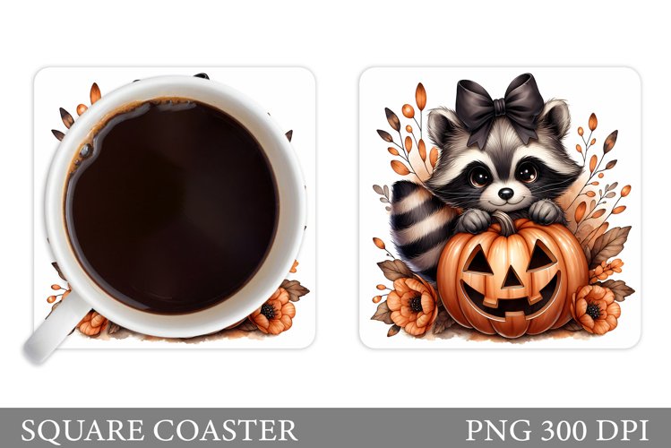 Raccoon Clipart Image 10