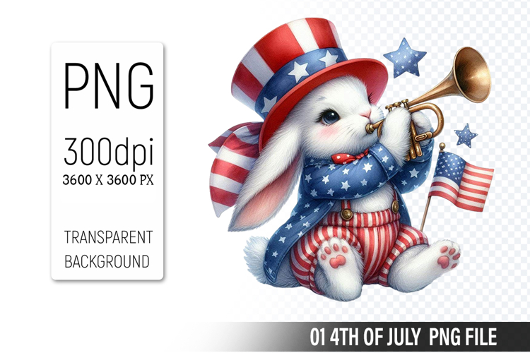 American Flag Png Image 14