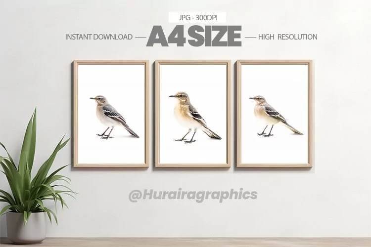 Animal Wall Art - 03 Variations