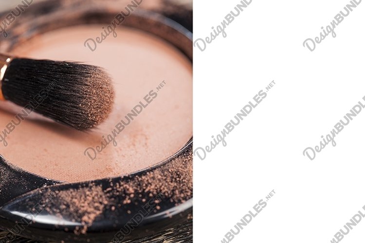 professional brushes for decorative cosmetics