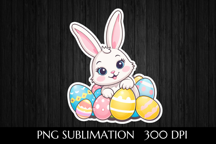 Rabbit Illustration Image 23
