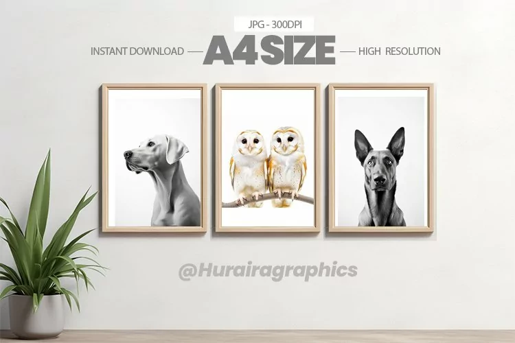 Animal Wall Art - 03 Variations