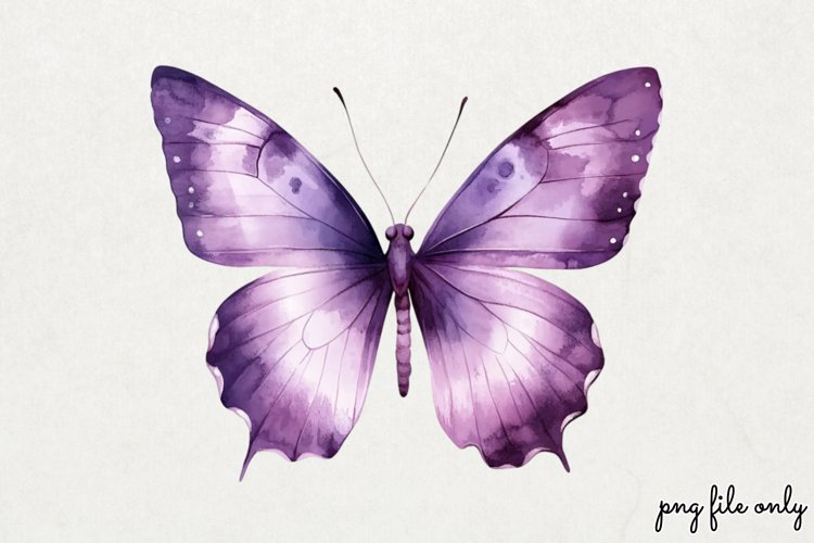 Dragonfly Png Image 11