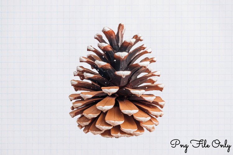 Quotes Clipart Image 24