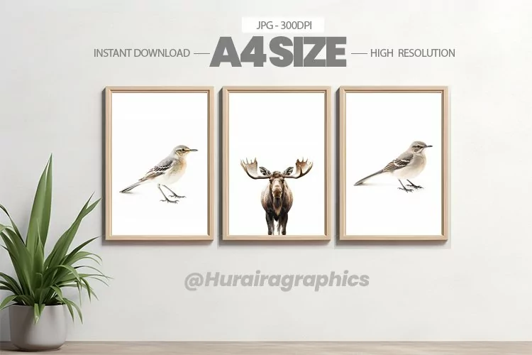 Animal Wall Art - 03 Variations