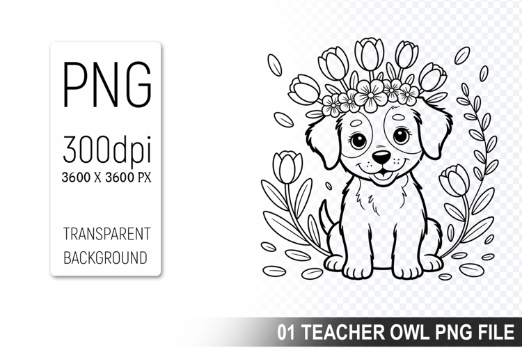 Pet Illustration