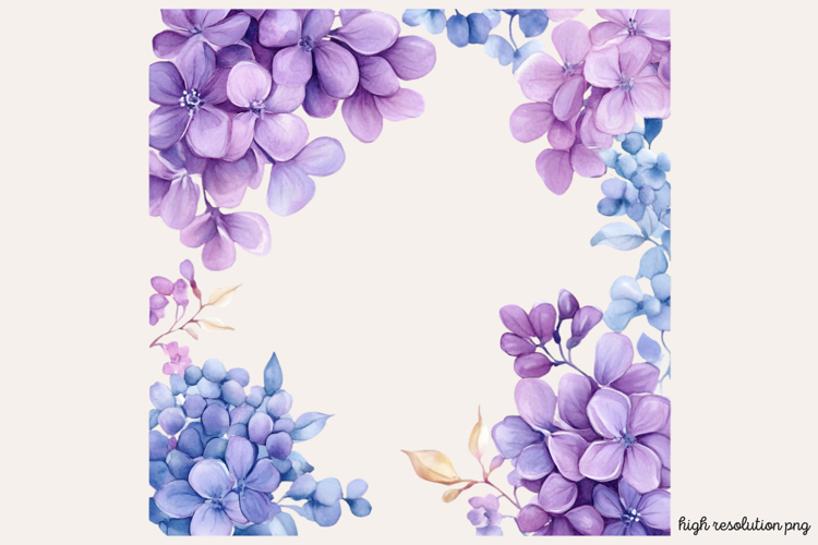 Lilac Illustration Image 4