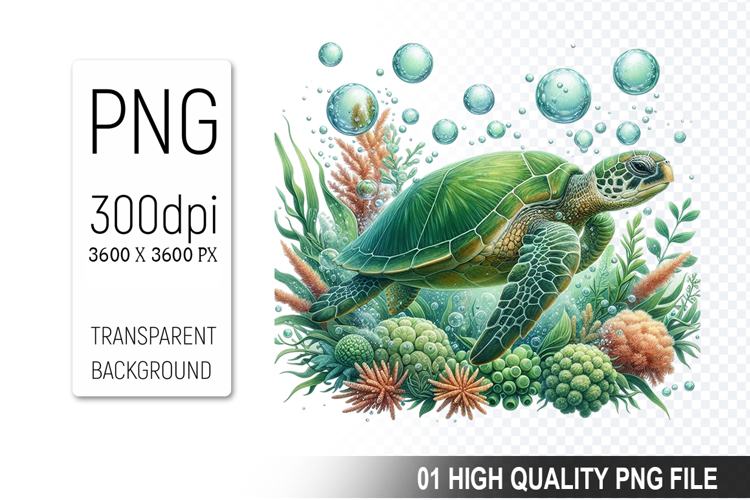 Turtle Png Image 19