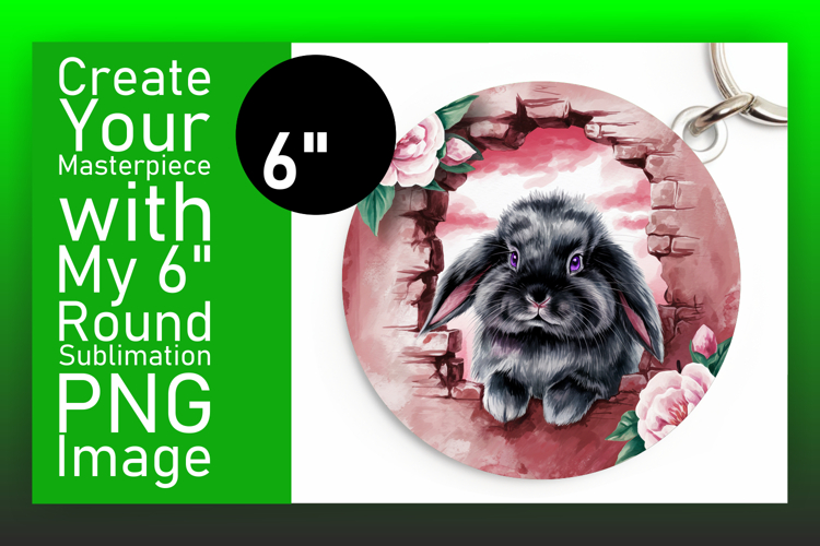 Cute Circle Coaster PNG Artwork , Animals In Wall