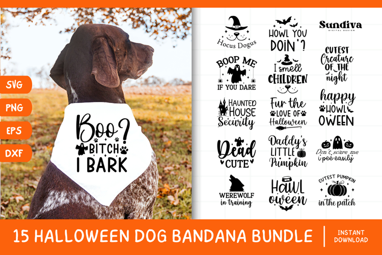 15 Funny Halloween Dog Bandana Quote SVG Bundle V2