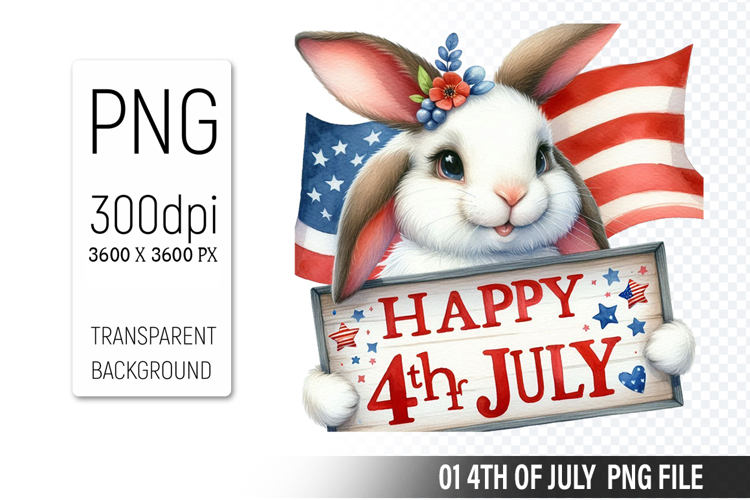 American Flag Png Image 13