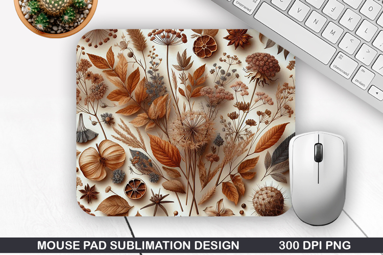 Fall Leaves Png Image 4