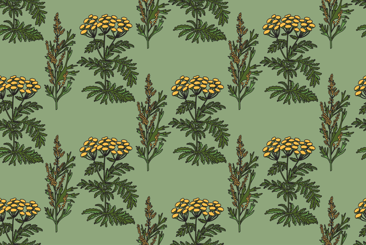 Botanical plant seamless pattern with flowers vector bg