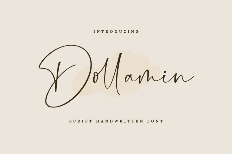 Dollamin - Script Handwritten Font example image 1