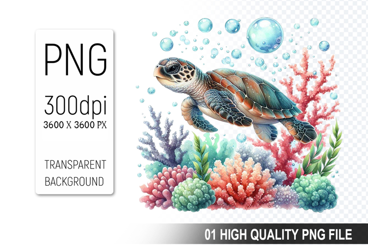 Turtle Png Image 18