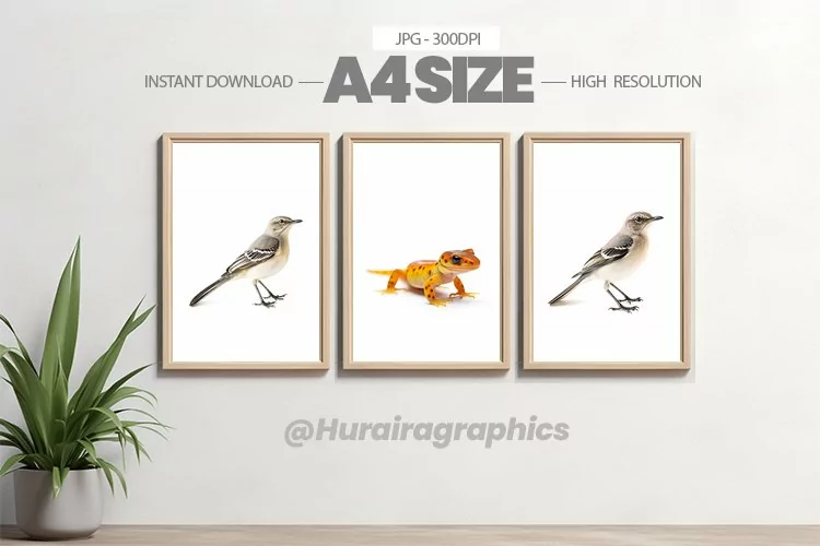 Animal Wall Art - 03 Variations
