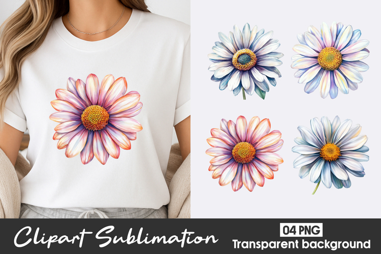 Colorful Daisy Watercolor Clipart PNG