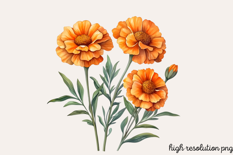 Boho SVG Image 13