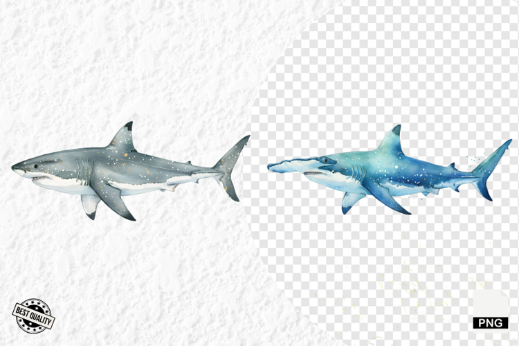 Watercolor Sea Life PNG Clipart