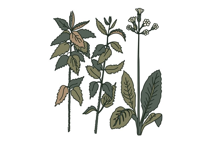 Greenery Clipart