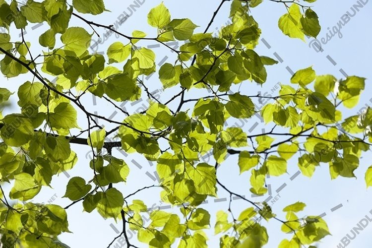 Sky Background Image 5