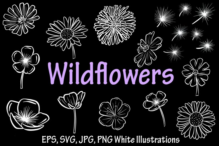 Beautiful Black and White Wildflower Illustration Collection example image 1