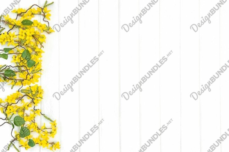 Floral background with spring flowers stock photo
