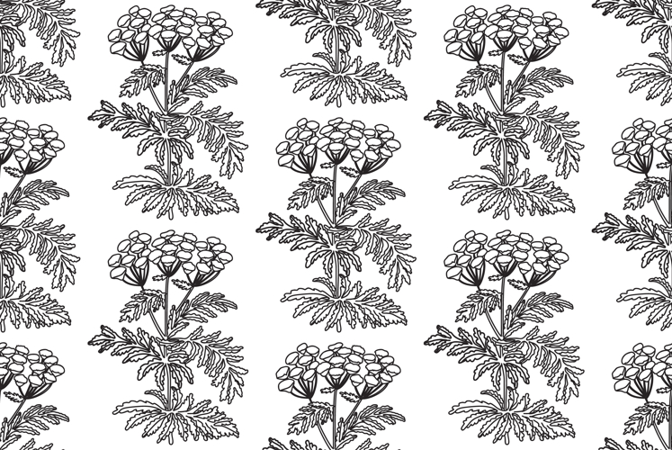 Line art botanical seamless plant pattern with flowers vecto