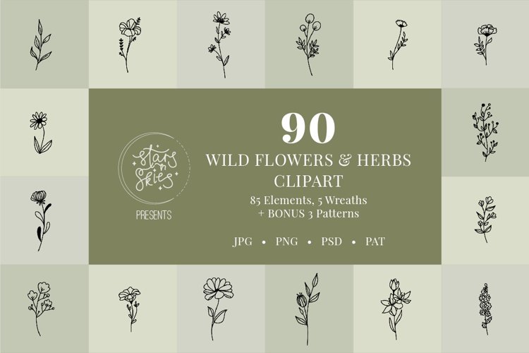 Wildflower and Herbs Hand Drawn Clip Art Pack example image 1