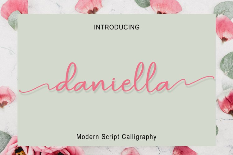 Daniella Script example image 1